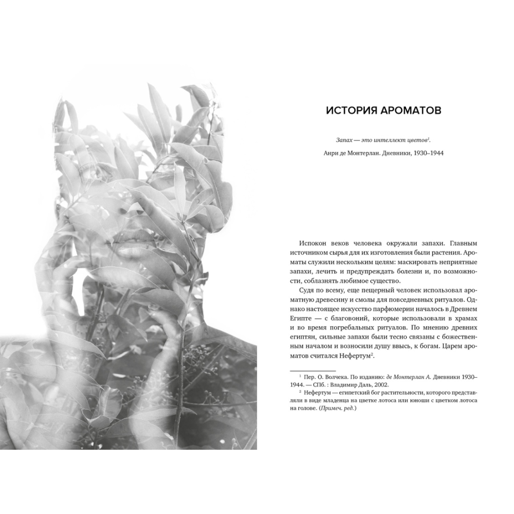 Книга "Нос. Секреты парфюмера Guerlain", Делакурт С. - 6