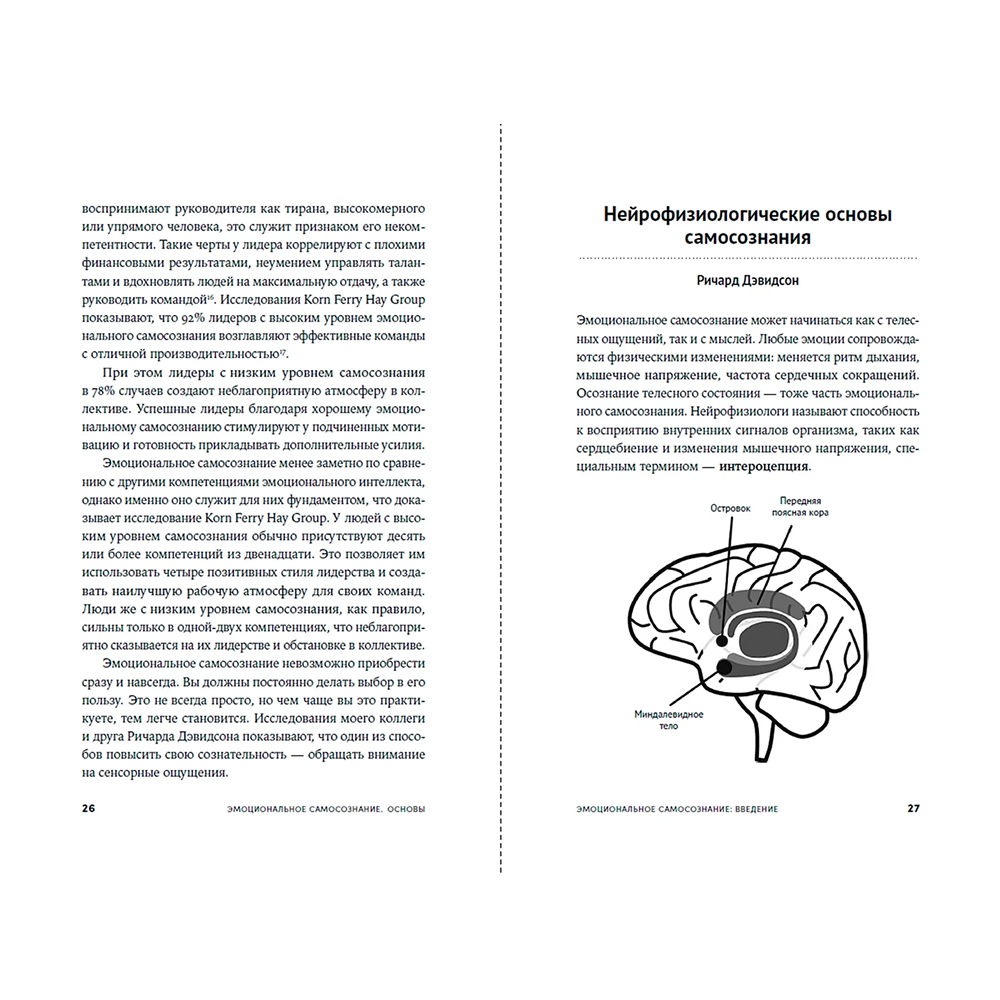 Книга "12 элементов эмоционального интеллекта: Как стать вдохновляющим лидером", Дэниэл Гоулман - 2