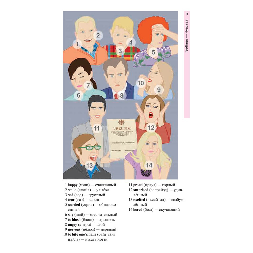 Книга "Английский язык в картинках", пер. М.В. Лешко - 8