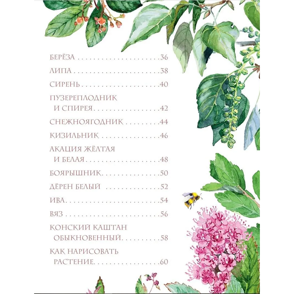 Книга "Растения в городе", Ирина Пескова - 5