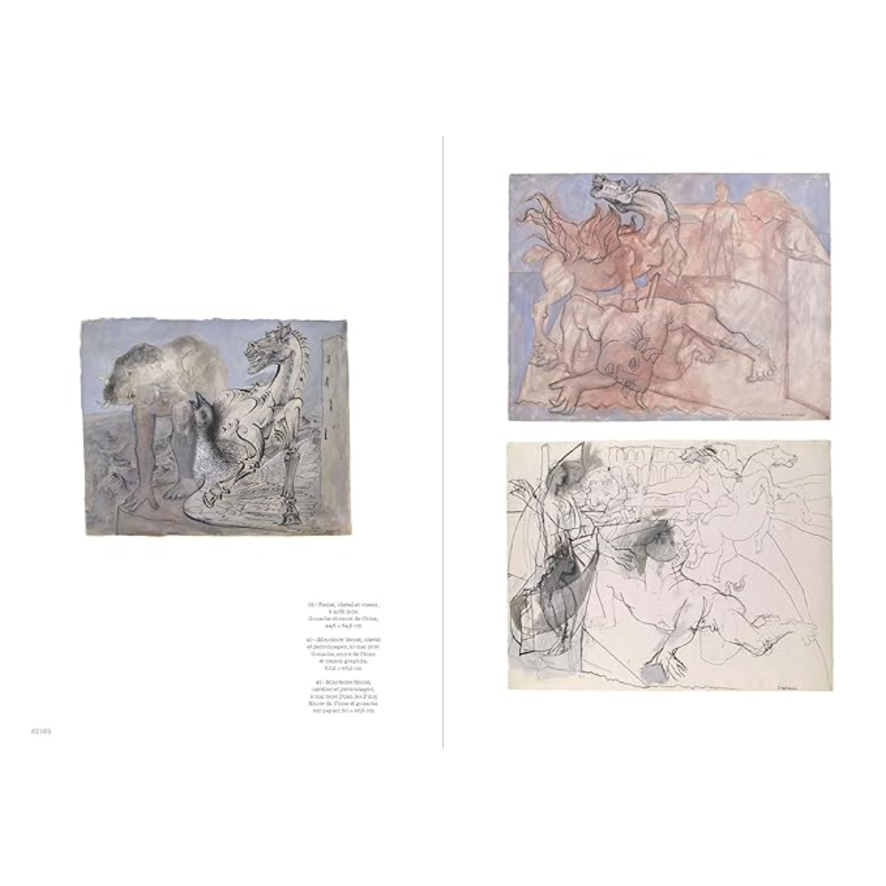 Книга на английском языке "Picasso: Drawing to Infinity", Anne Lemonnier, Johan Popelard - 3