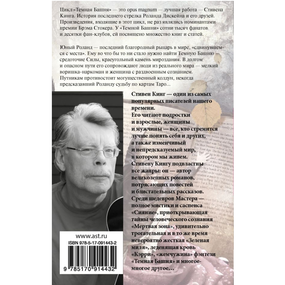 Книга "Бесплодные земли", Стивен Кинг - 2