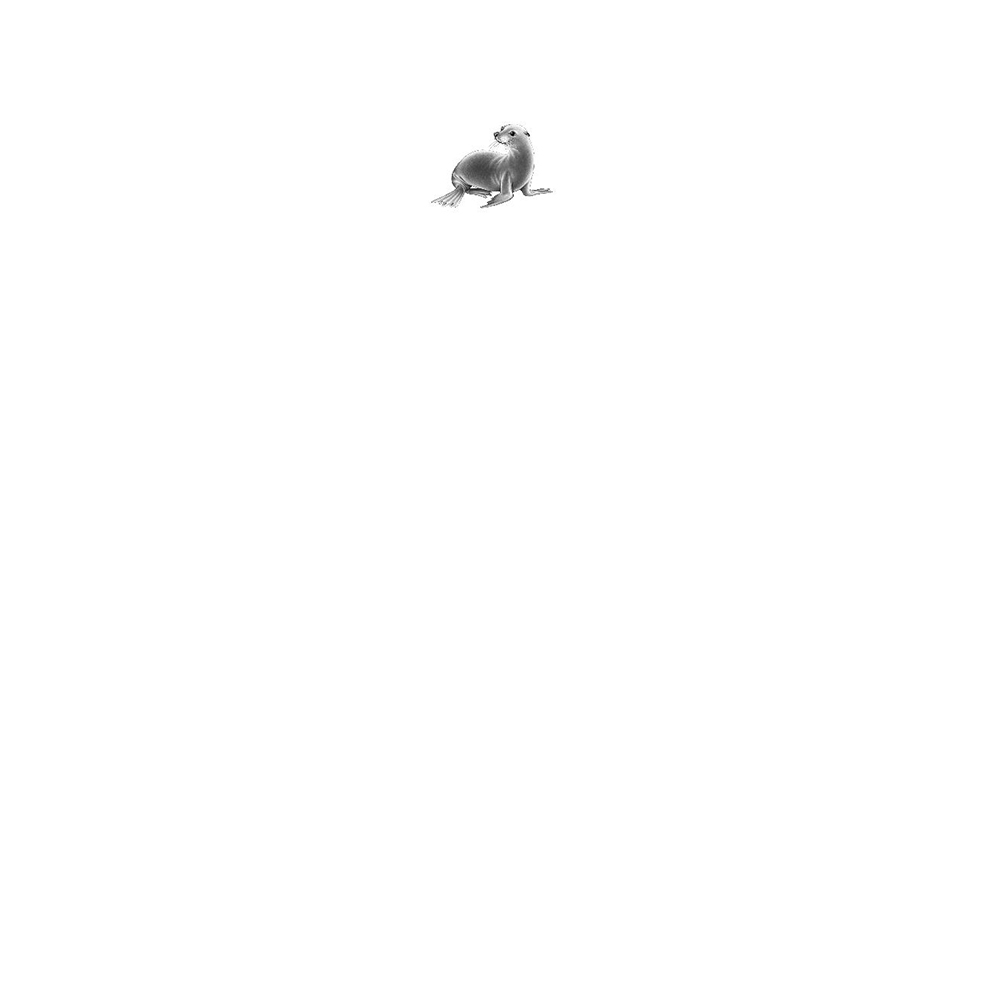 Книга "Опасные волны (#3)", Катя Брандис - 2