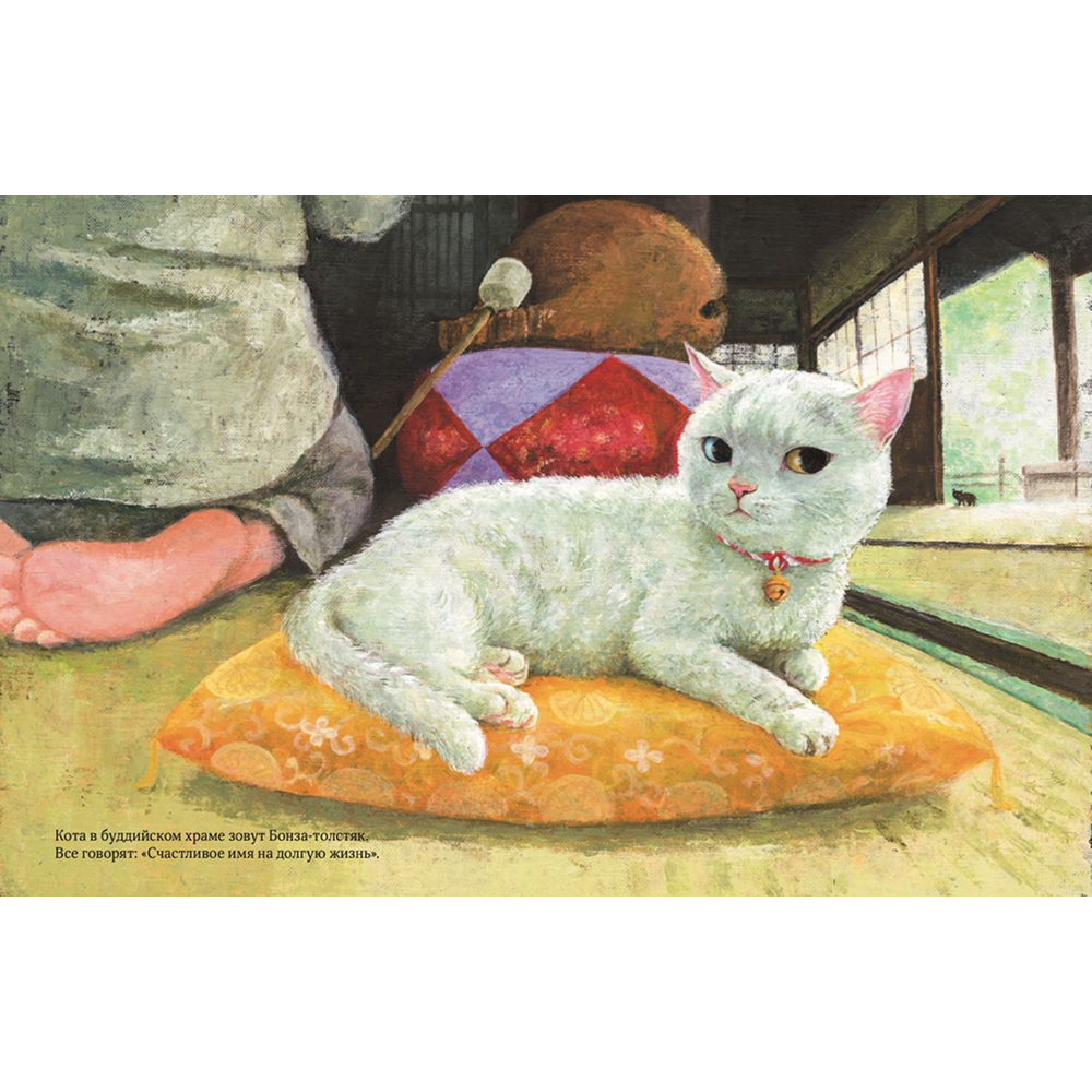 Книга "Кот без имени", Фумико Такэсита, иллюстрации Матида Наоко - 4