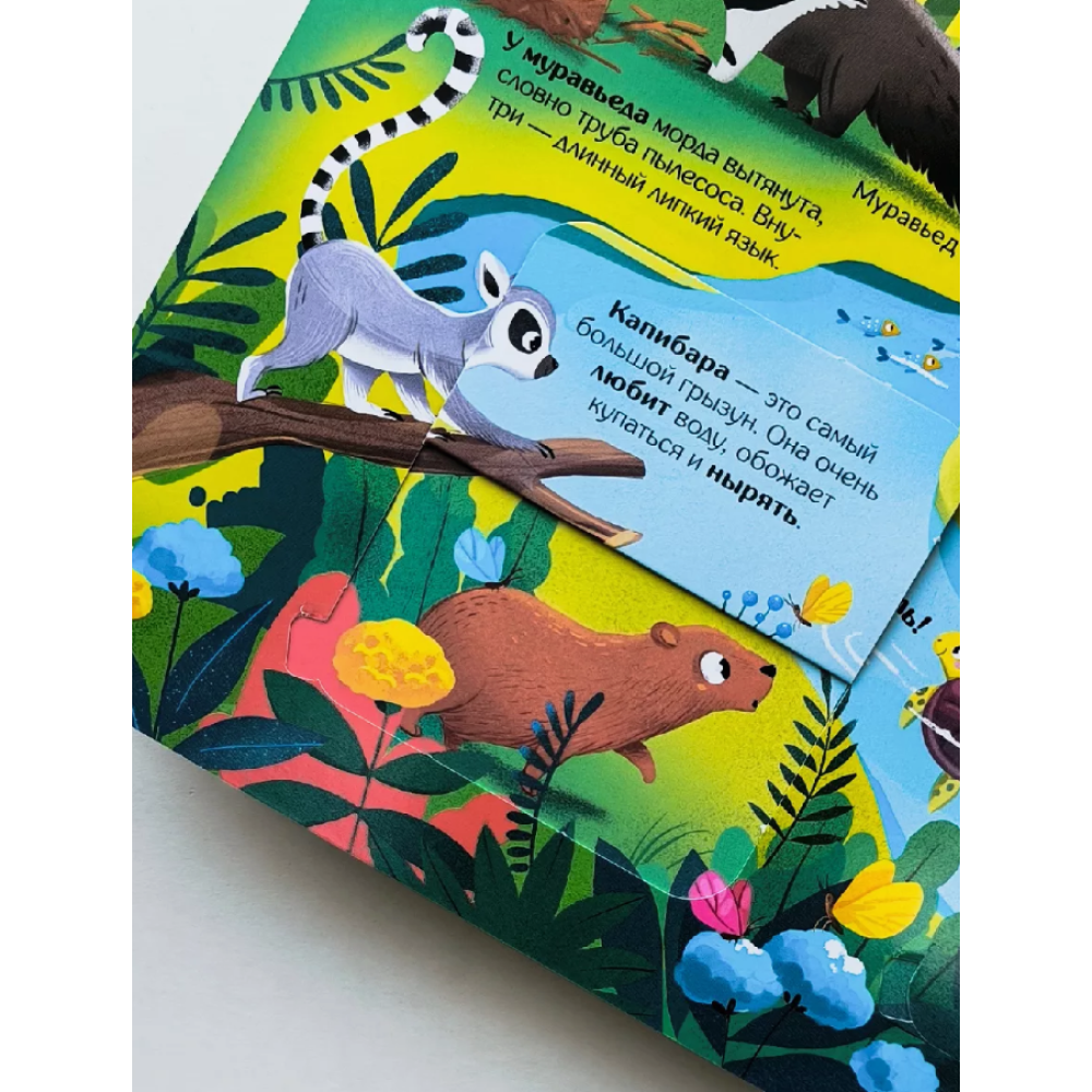 Книга "Книжка с окошками. Мир животных" - 10