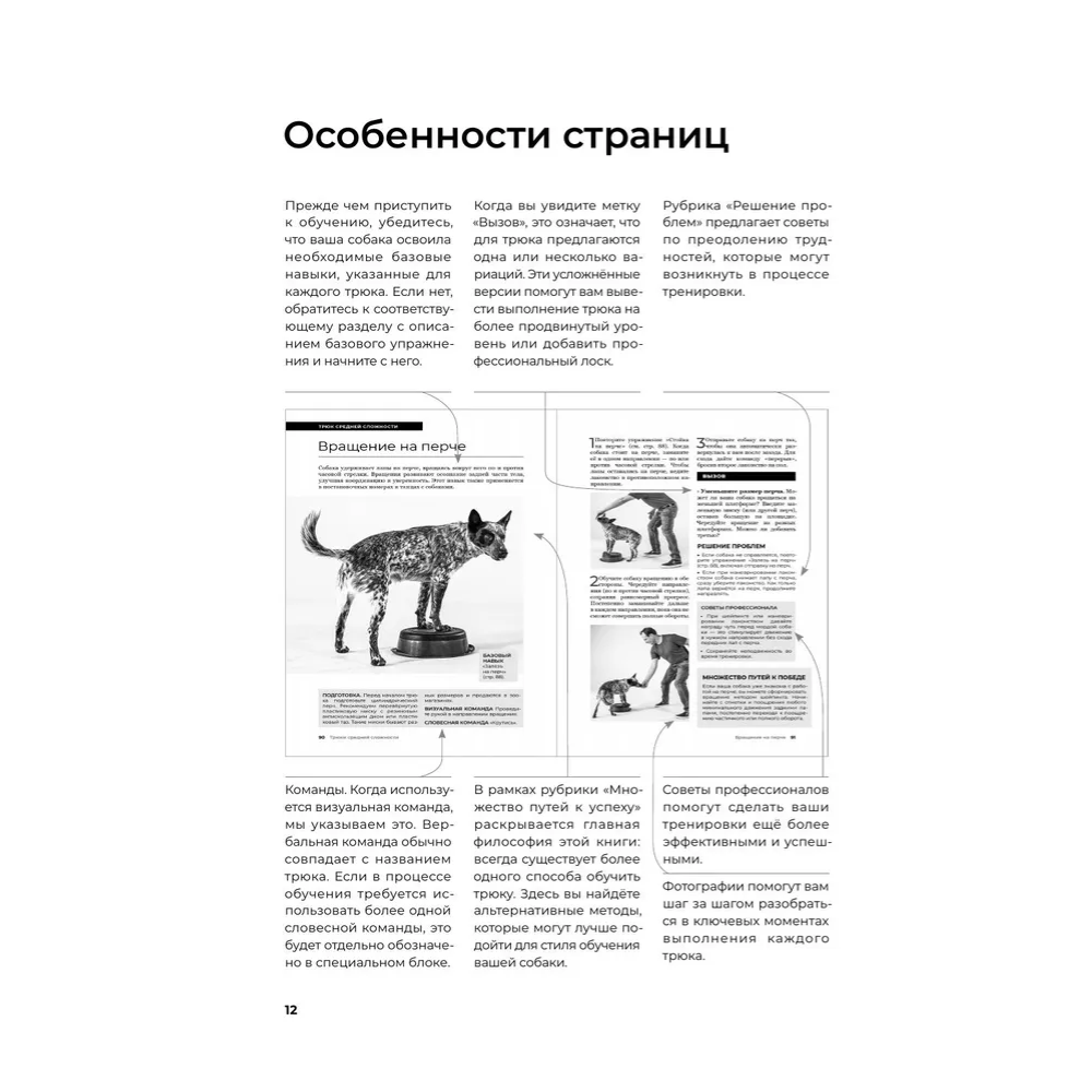 Книга "Собака, которая умеет всё. Пошаговое руководство по 118 удивительным трюкам", Ларри Кей, Крис Перонди - 9