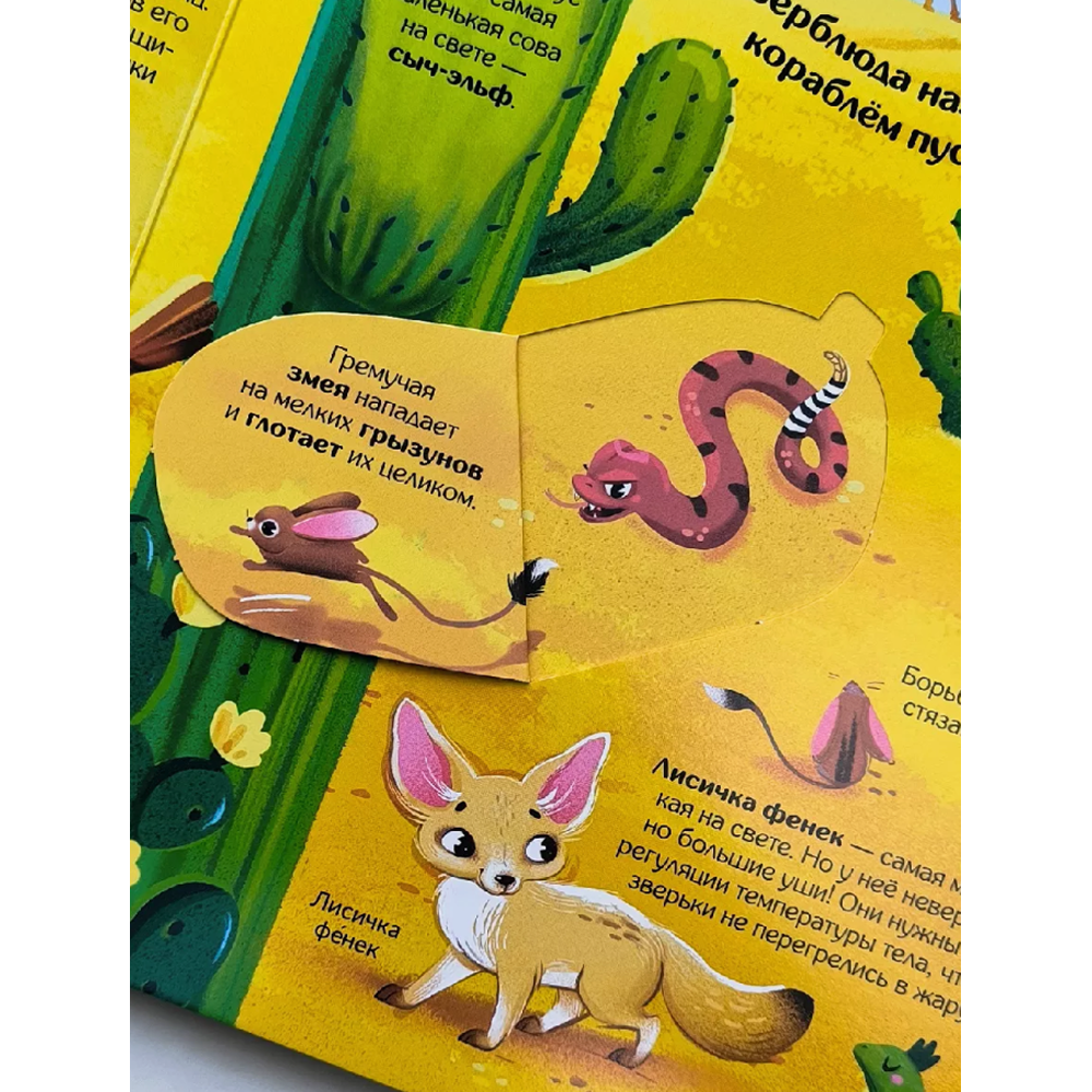 Книга "Книжка с окошками. Мир животных" - 2