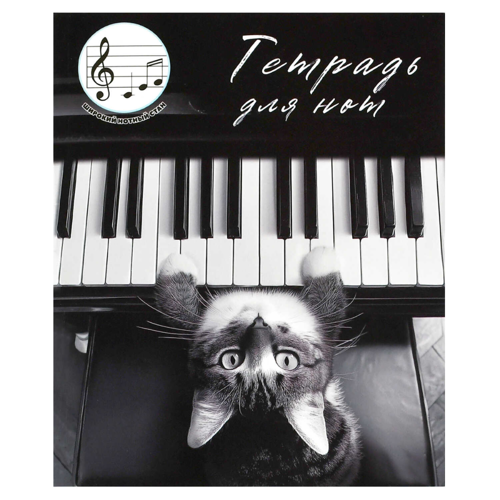 Тетрадь для нот "Кот-пианист", А5, 24 листа