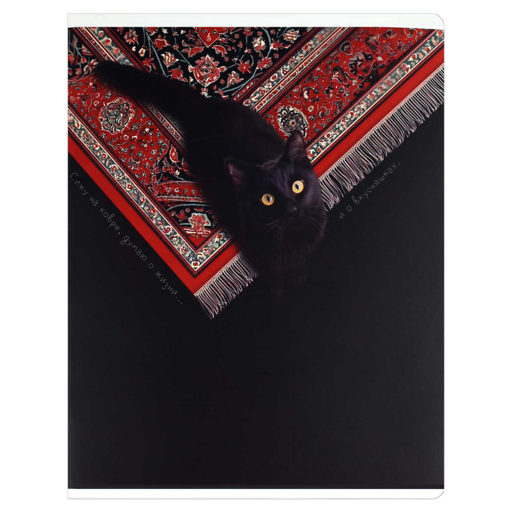 Тетрадь "Коты и ковры", А5, 48 листов, клетка, ассорти - 3