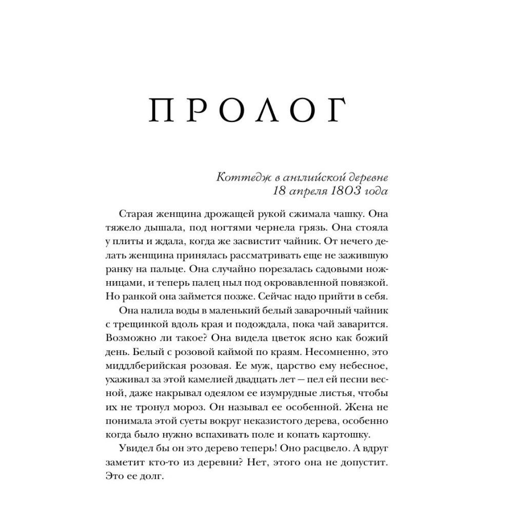 Книга "Последняя камелия", Сара Джио - 6